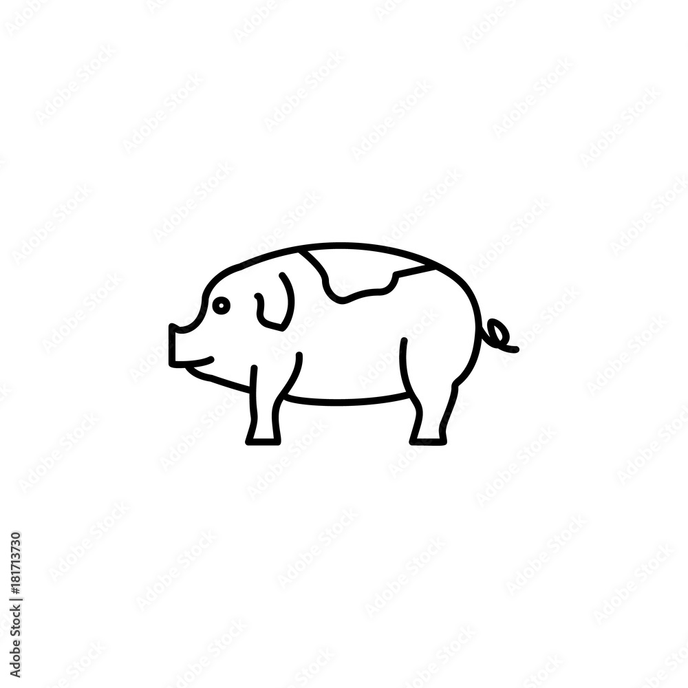 Pig line icon Pig line icon