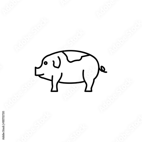 Pig line icon