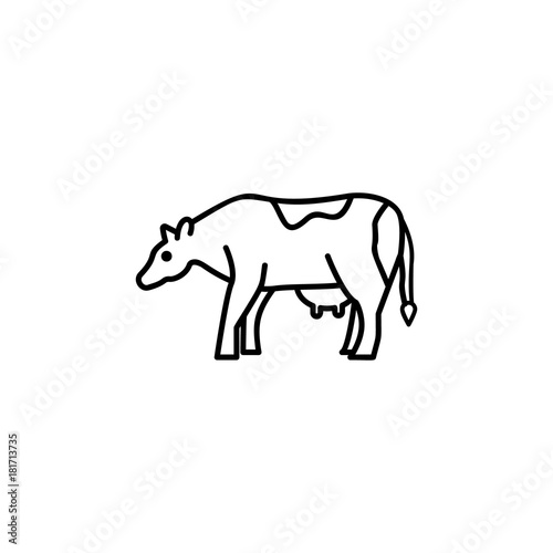 Cow web line icon