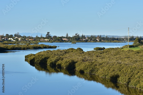 Calm waters with growth of mangroves in estuary in Orewa.