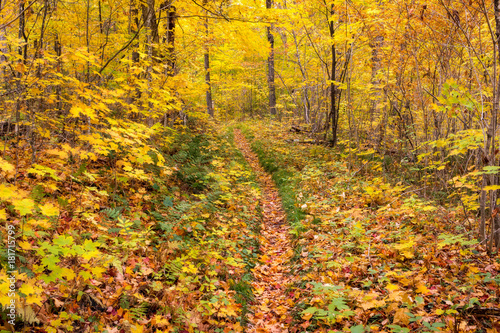 October Trail
