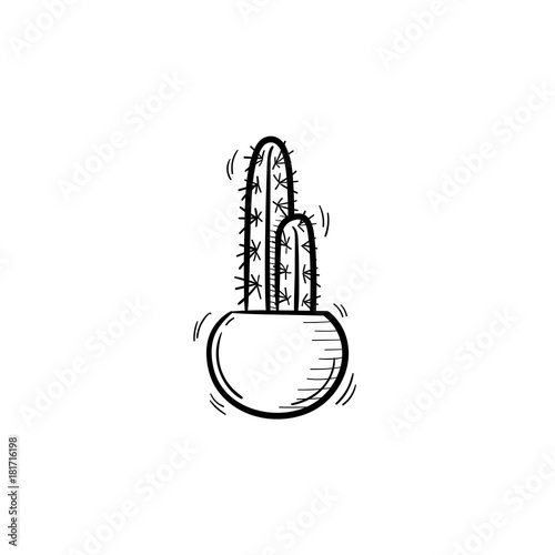Decorative potted house plant - cactus sketch icon for web, mobile and infographics. Hand drawn cactus vector icon isolated on white background.
