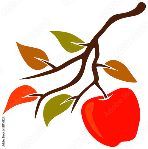 Apple branch minimalist vector illustration