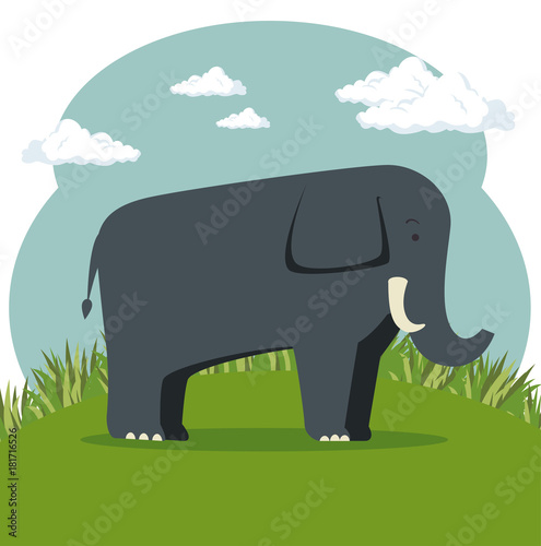 wild animal cartoon vector illustration graphic design