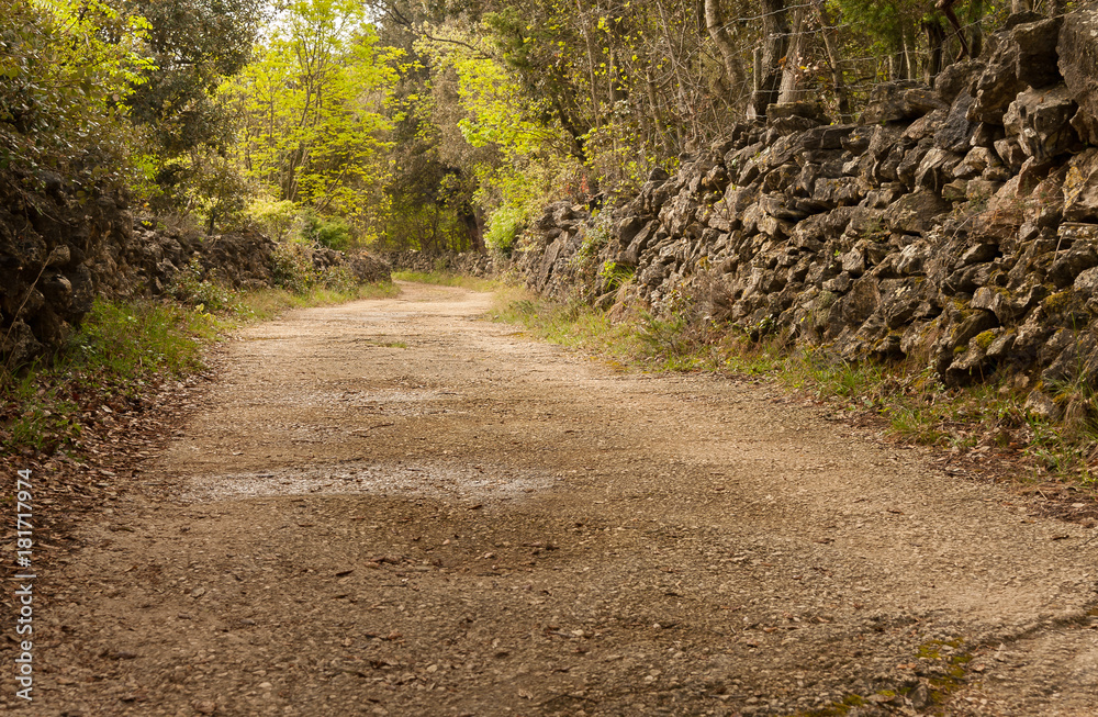 Obraz premium Country road with stone walls on the island of Cres