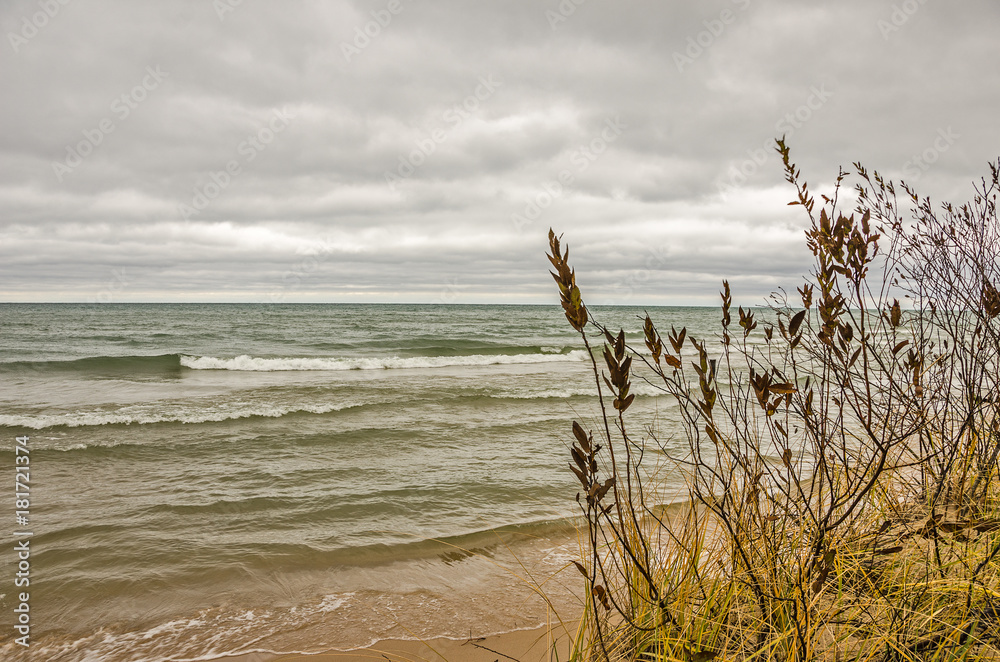 Yellow and Green Grasses and Waves