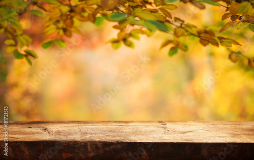 Autumn background table