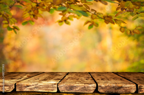 Autumn background table