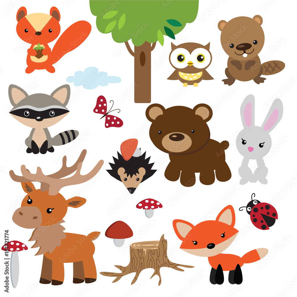 Vector cartoon forest animal illustration Vector cartoon forest animal illustration