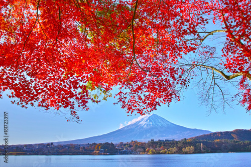 秋の河口湖から見る富士山と紅葉 © 7maru
