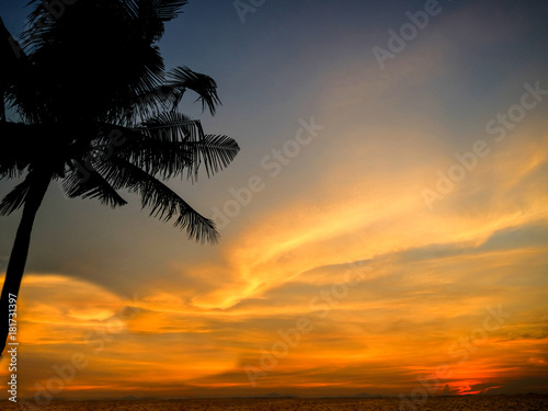 sunset last light and silhouette coconut in left © darkfoxelixir