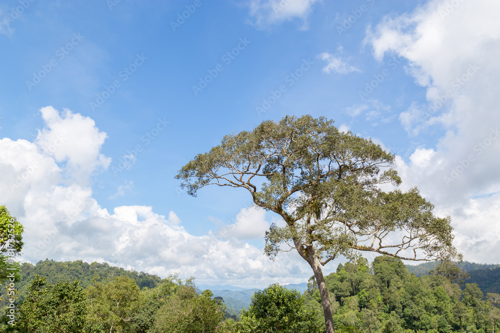 Mountain landscape and blue sky and white cloud with copy space. Mountain landscape and blue sky and white cloud with copy space.