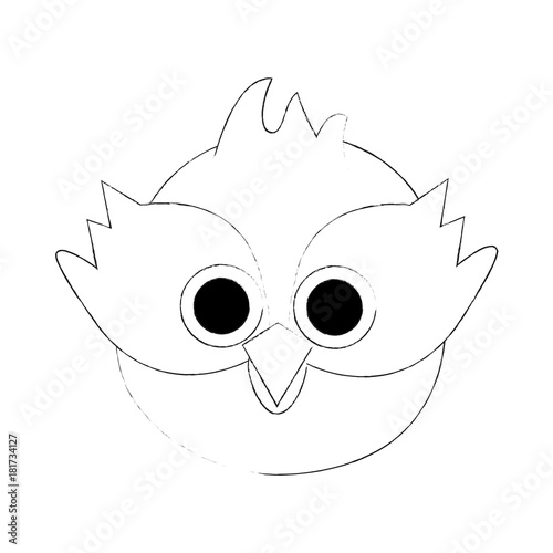 Cute owl bird cartoon