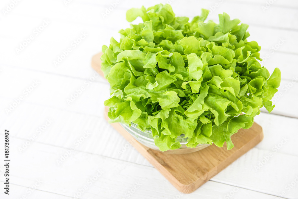 Fresh organic healthy green oak lettuce vegetable Fresh organic healthy green oak lettuce vegetable