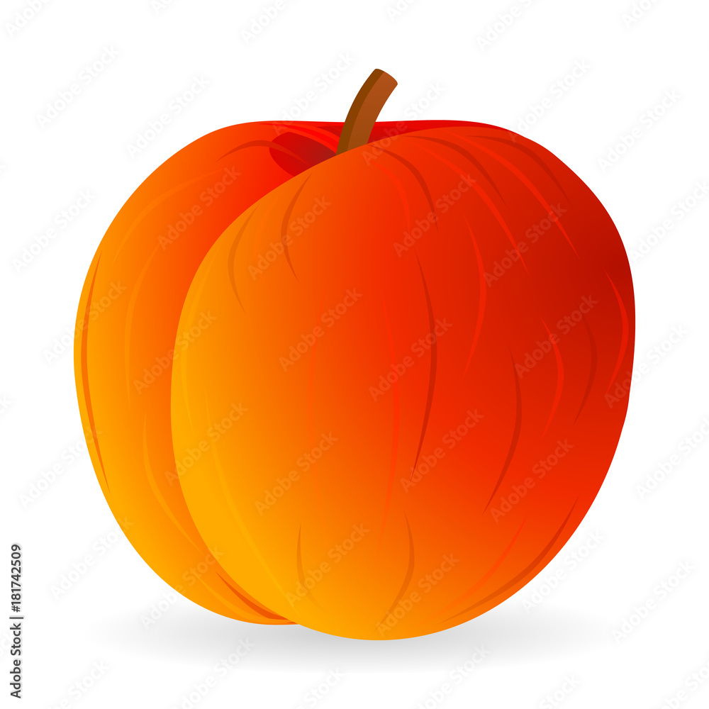 Obraz premium Vector illustration of peach isolated on white background