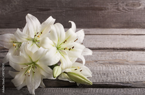 white lily on old wooden background