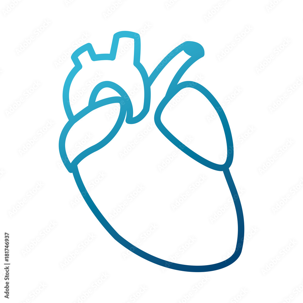 Human heart symbol icon vector illustration graphic design Human heart symbol icon vector illustration graphic design
