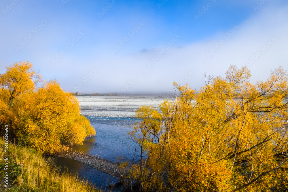 Yellow forest and river in New Zealand mountains