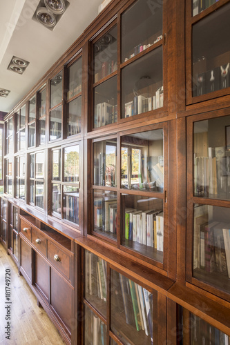 Wooden large library