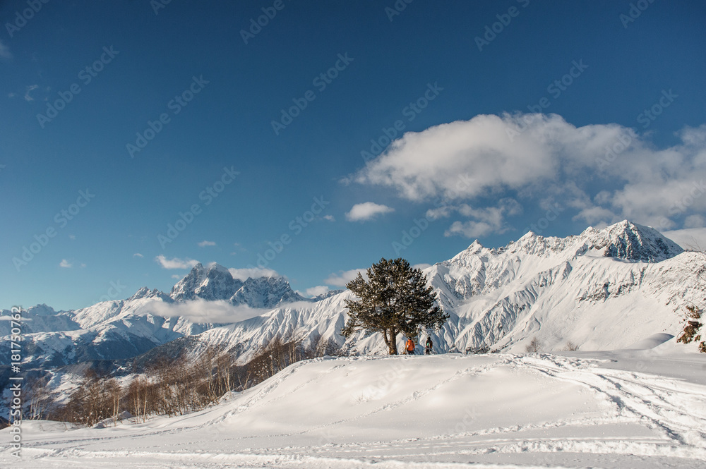 Two snowboard riders standing near the tree
