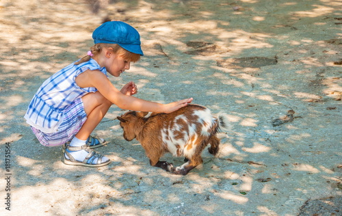 Little girl with pigtails gently stroked the goat on the farm photo