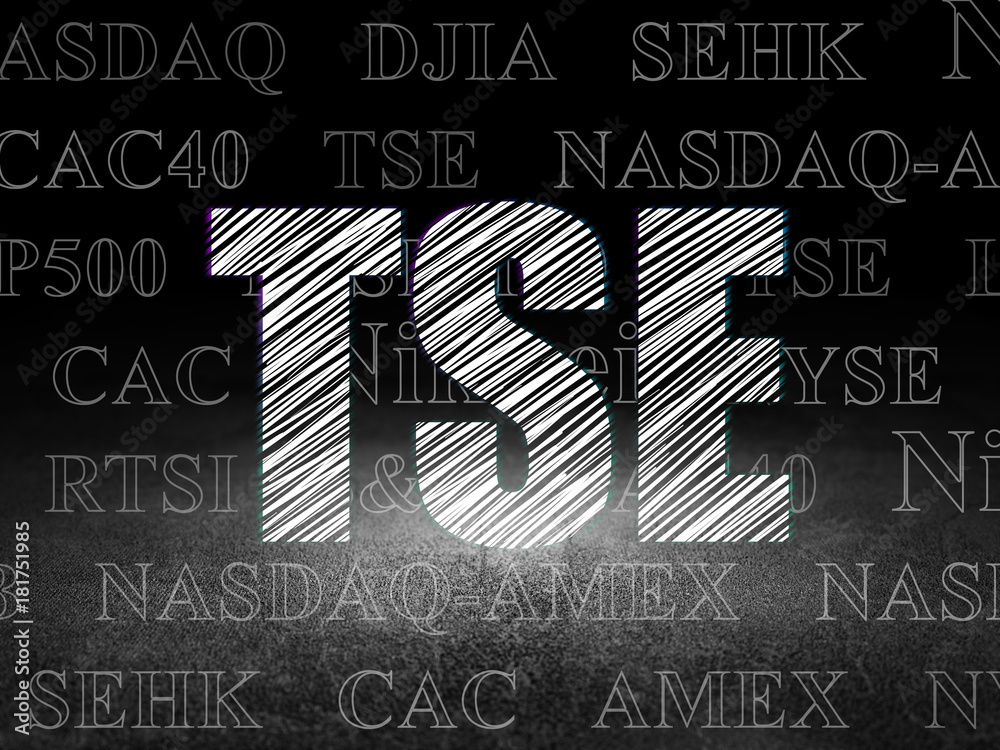 Fototapeta premium Stock market indexes concept: Glowing text TSE in grunge dark room with Dirty Floor, black background with Tag Cloud