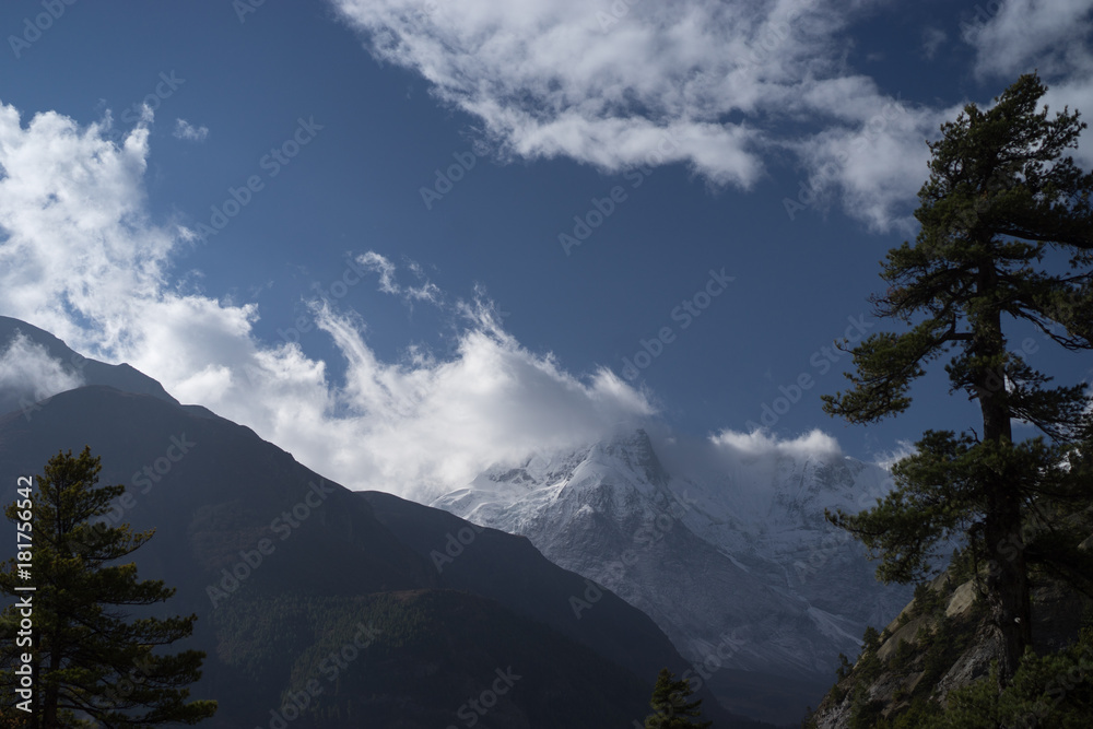 Trees and snowcapped peak at background in the Himalaya mountains, Nepal Trees and snowcapped peak at background in the Himalaya mountains, Nepal