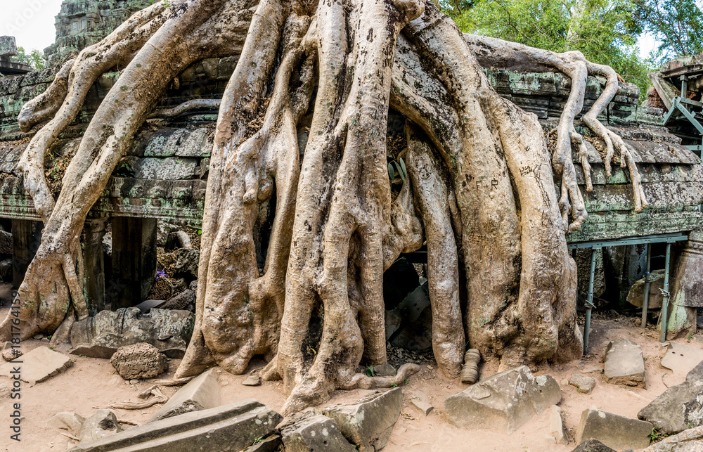 Ta Som Temple in tree roots , Siem Reap, Cambodia