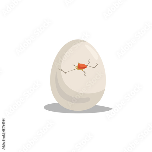 Cartoon cute chic hatching. Easter and newborn symbol. Vector illustration.