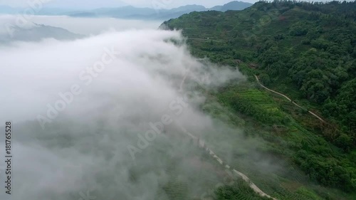 aerial view of drone flying over  tea farm in the mountain