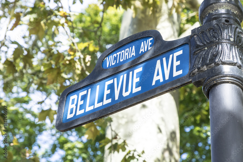street sign Bellevue ave, the famous avenue with the historic manisons and the cliff walk street sign Bellevue ave, the famous avenue with the historic manisons and the cliff walk