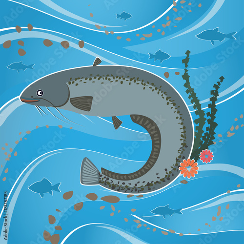 Catfish in the marine fauna.