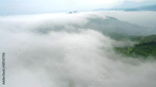 aerial view of drone flying over  tea farm in the mountain