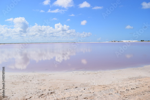 eau rose