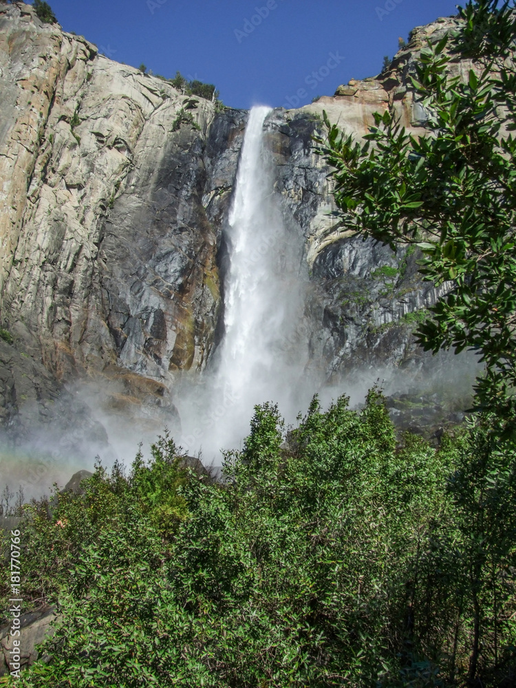 Fototapeta premium Yosemite National Park