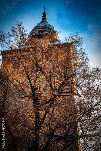 Church tower behind a tree. Piotrkow Trybunalski, historical city.   photo