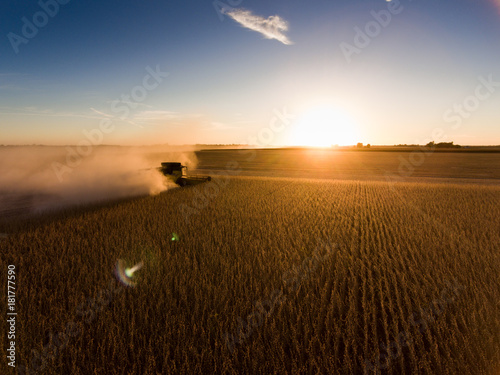 Silhouette of harvest