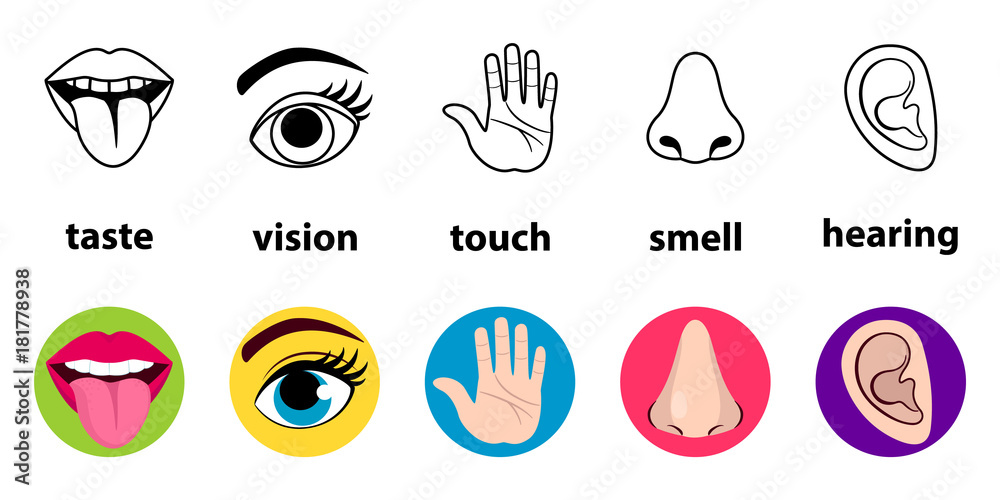 Plakat Set of five human senses vision (eye), smell (nose), hearing