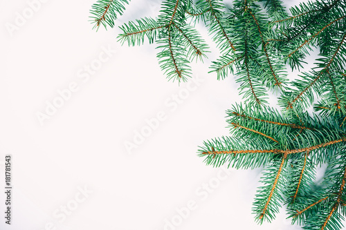 Christmas fir tree frame on white background. Free space