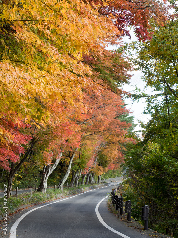 湖畔の紅葉