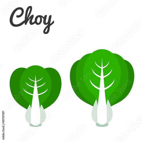Vector set of vegetable, bok choy