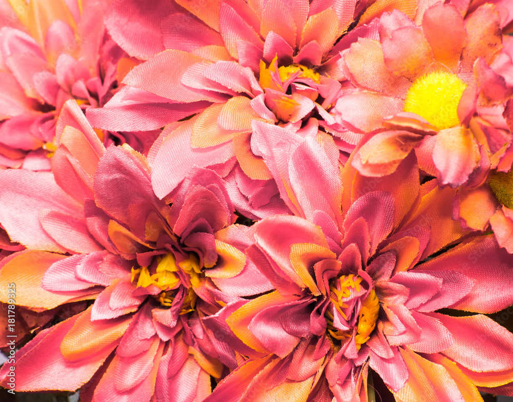 Pink flowers, background for women's day or mothers's day card Pink flowers, background for women's day or mothers's day card