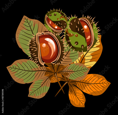 Autumn leaves of chestnuts with chestnuts