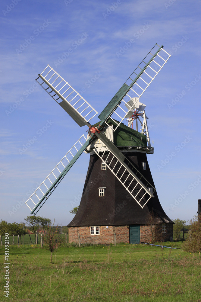 Windmühle nähe Rotterdam, Niederlande, Europa