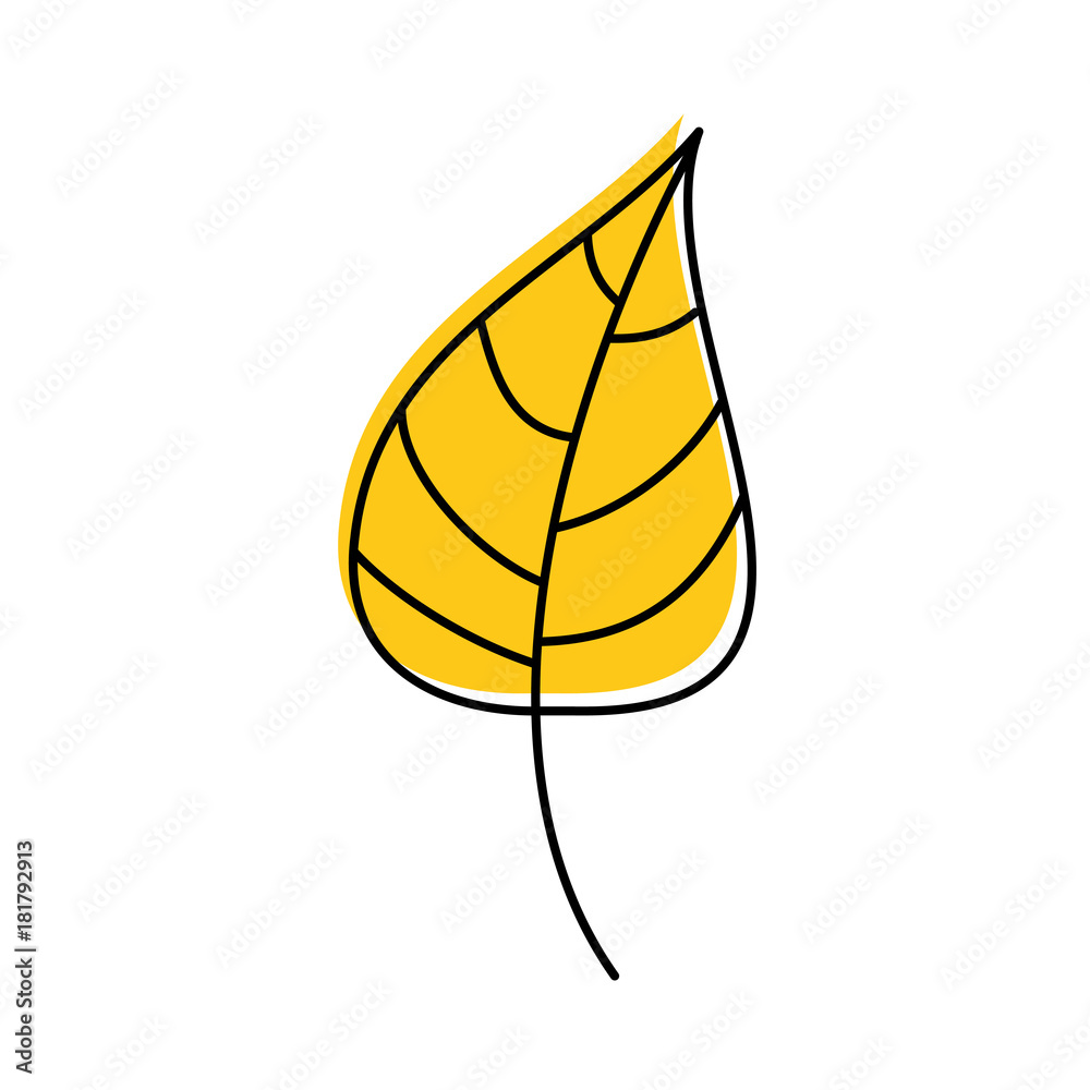 autumn leaf season natural foliage flora vector illustration