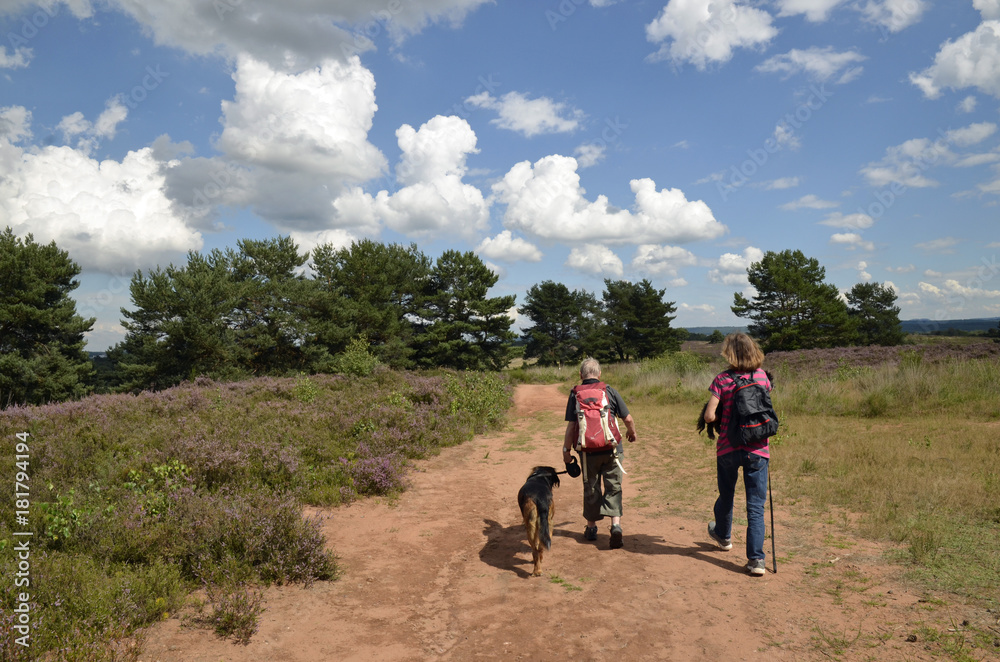 zwei frauen gehen mit hunden in der mehlinger heide
zwei frauen gehen mit hunden in der mehlinger heide
