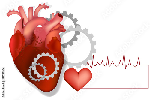 Heart with gears. Vector conceptual illustration - heart work.