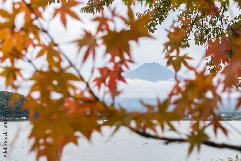 Mt.Fuji in autumn season in japan with blur maple tree leaves and cloudy background at Lake Kawaguchiko japan