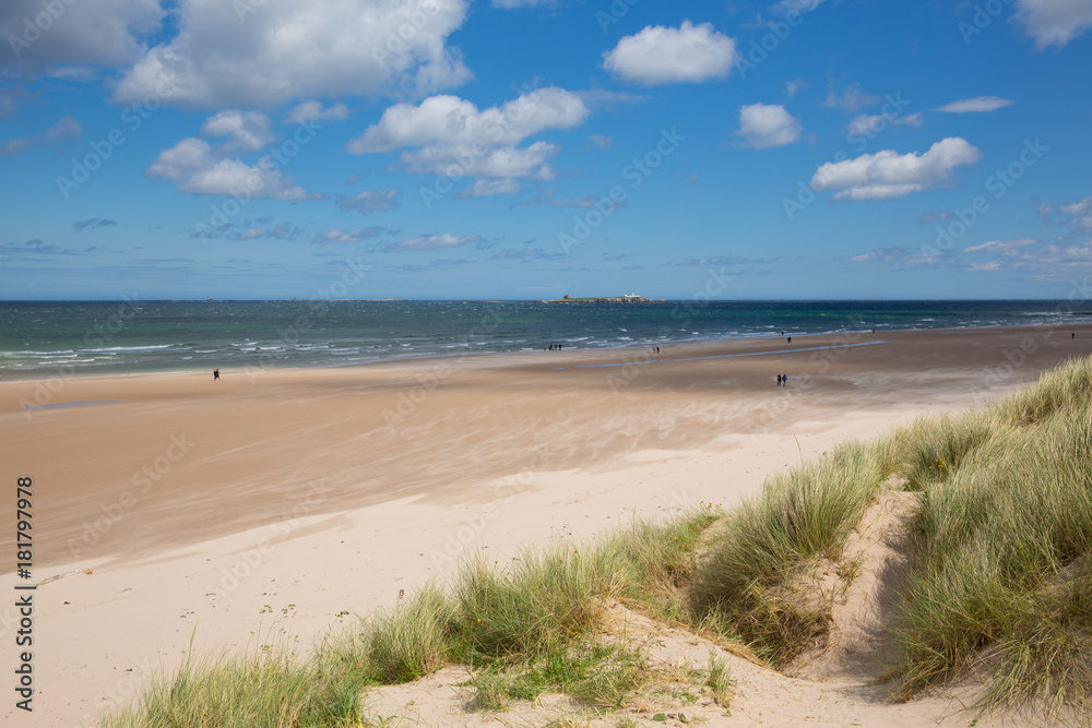 Northumberland beach and coast at Bamburgh north east England UK with view to the Farne islands tourist attraction
