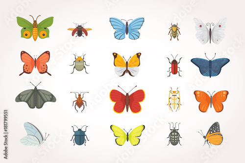 Set of different insects in cartoon style. Butterfly and beetle collection. © denis08131